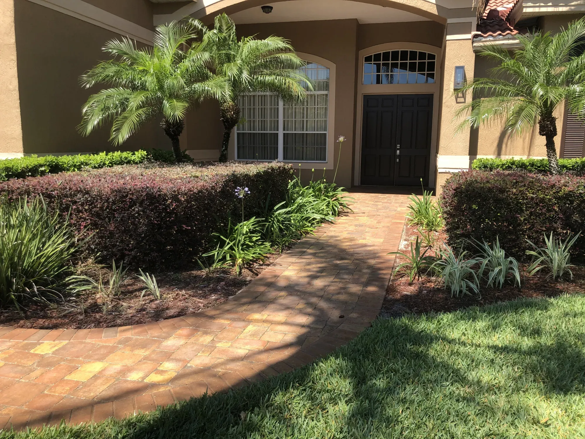 Modern walkway paver installation